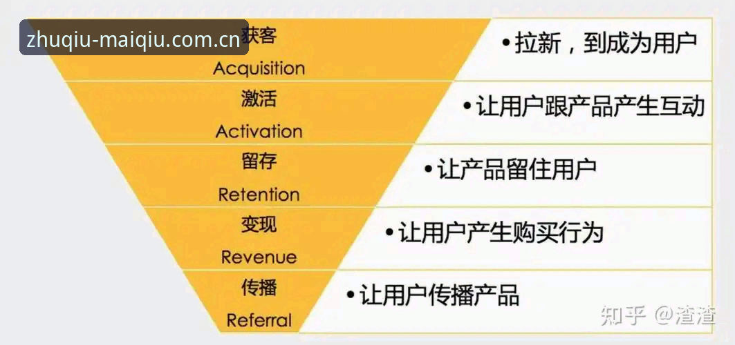 买球最新版下载哪个好 买球最新版下载哪个好?从用户体验到版本迭代的全面解析