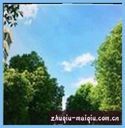 吴刚